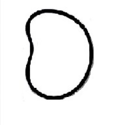 Bean